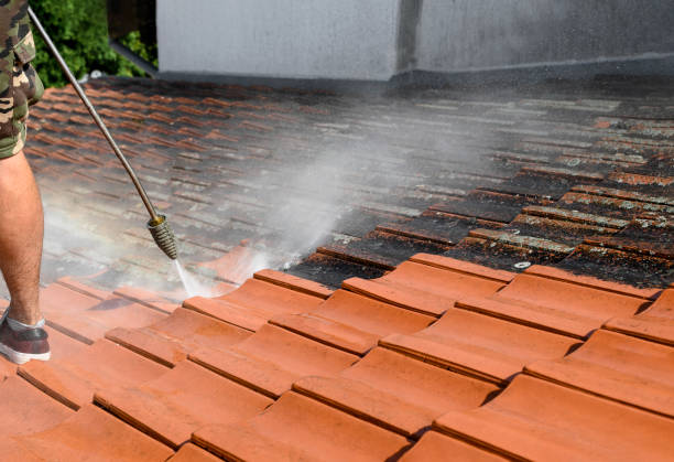 Best Fence Pressure Washing  in Las Lomas, TX