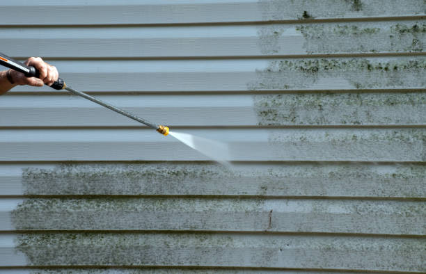 Best Affordable Power Washing  in Las Lomas, TX