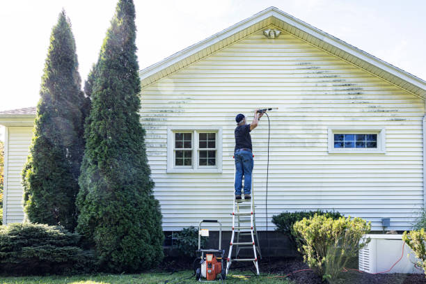 Best Roof Pressure Washing  in Las Lomas, TX