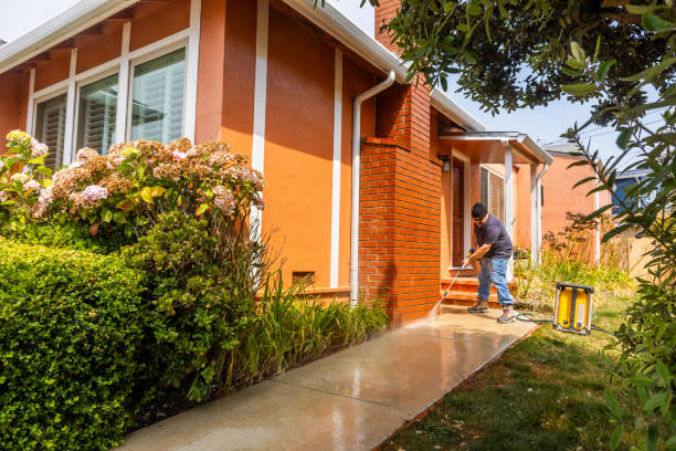Best Roof Pressure Washing  in Las Lomas, TX