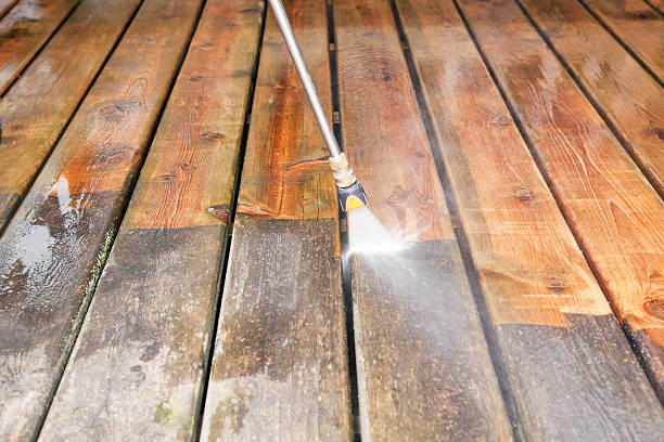 Best Residential Pressure Washing Services  in Las Lomas, TX