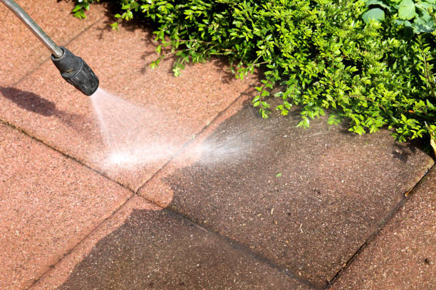 Best Best Pressure Washing Companies  in Las Lomas, TX